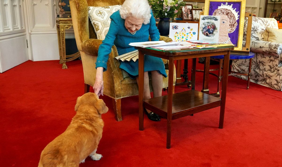 Kuninganna Elizabeth II ja dorgi