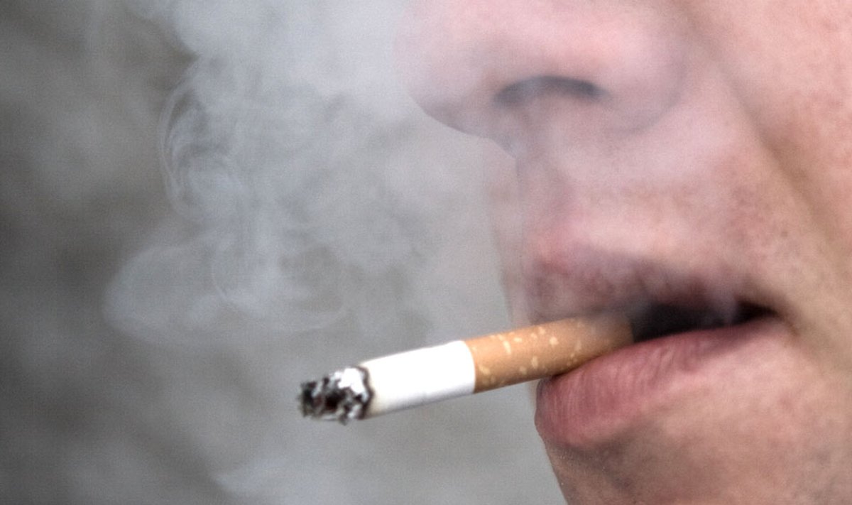 Suitsetajaid Maailma Terviseorganisatsiooni tööle ei võeta.