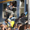 У вокзала в Будапеште мигранты подрались с полицией