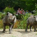 ÜRITUS | Loomaaias tuleb suurejooneline lastekaitsepäev