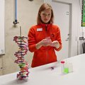 Lühivideo: mis on DNA ja kuidas eraldada