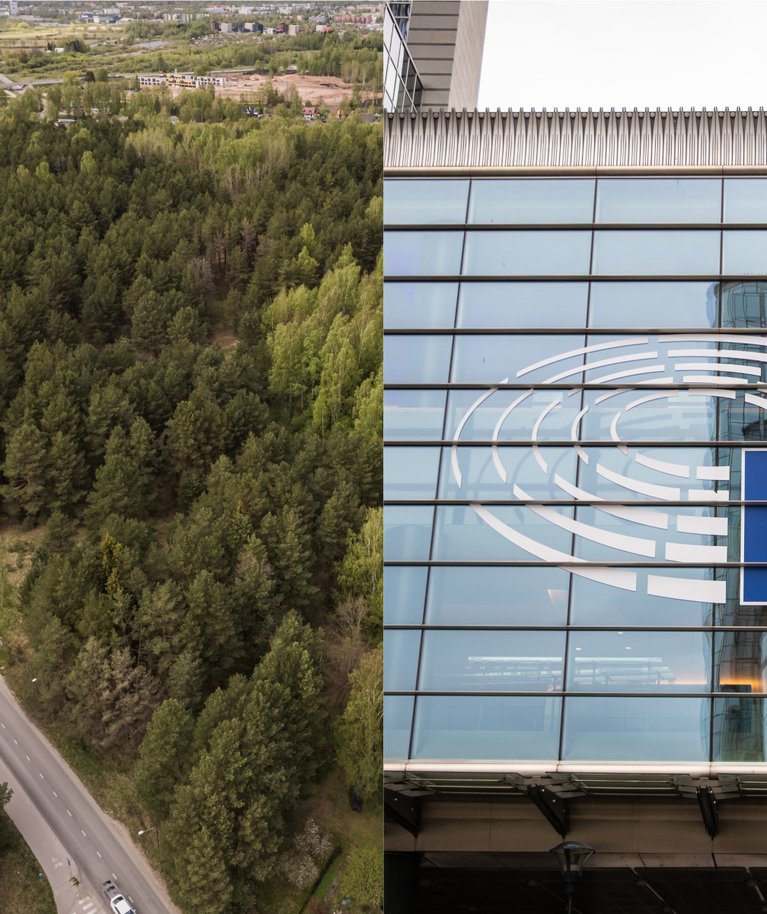 Euroopa Komisjon soovib, et Eesti panustaks Euroopa kliimaeesmärkide täitmisse, sidudes läbi maa- ja metsakasutuse igal aastal 2,5 miljonit tonni süsinikku. Samas Läti eesmärk on siduda vaid 0,8 miljonit tonni.