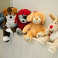 ФОТО | Пропавшего в магазине ребенка нашли спящим на полке с игрушками