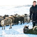 Hundijahikeeld katkualadel hirmutab lambakasvatajaid