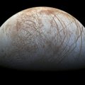 NASA: Jupiteri kuu Europa pinnast purskub vett paarisaja kilomeetri kõrguste jugadena