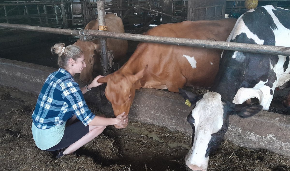 Avatud talude päev Muuluka farmis