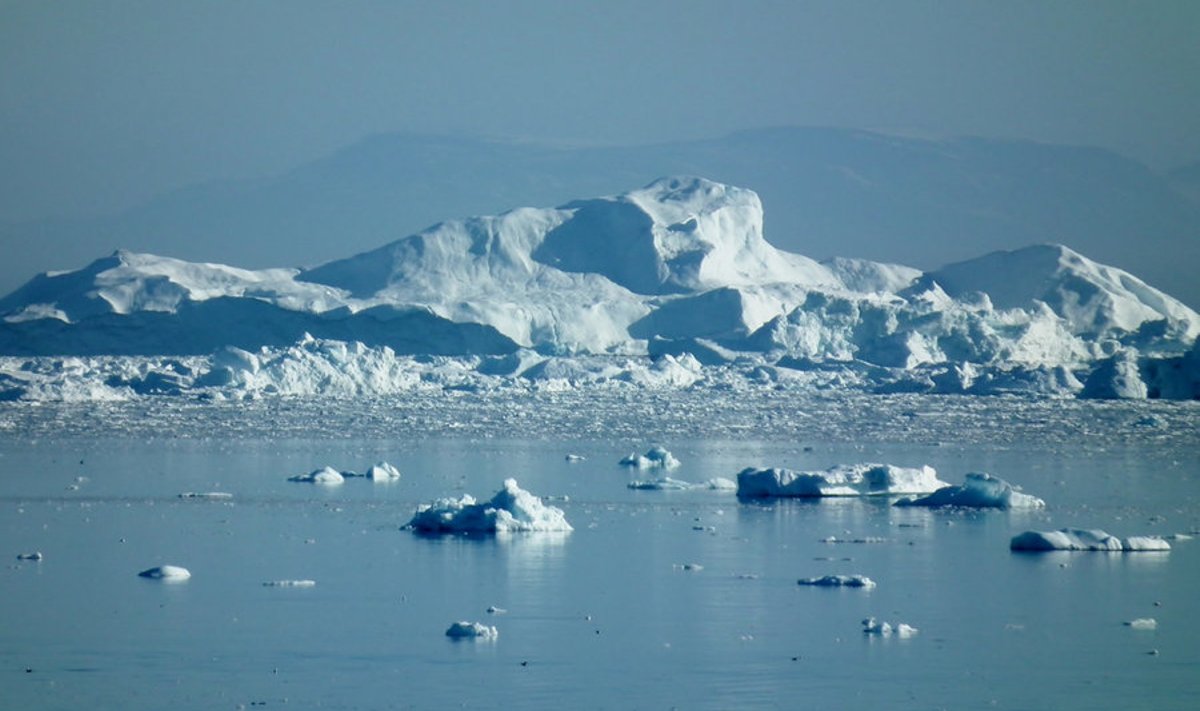 Jäämägede looja: suurimad Gröönimaa liustike küljest lahtimurdunud jääkamakad on olnud sama suured kui Manhattan.