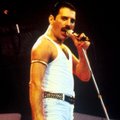 Freddie Mercury haud on lõpuks leitud?