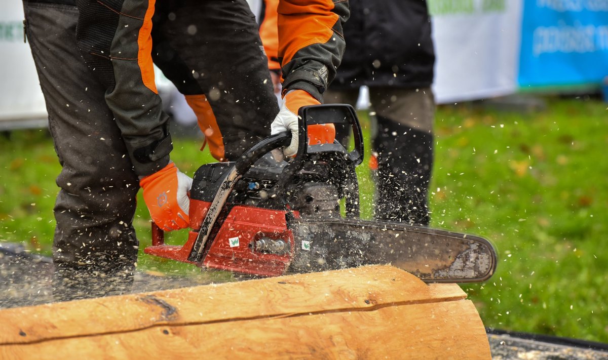 ИСТОЧНИКИ РИСКА: Работа с древесной пылью может повысить риск заболевания онкологией.