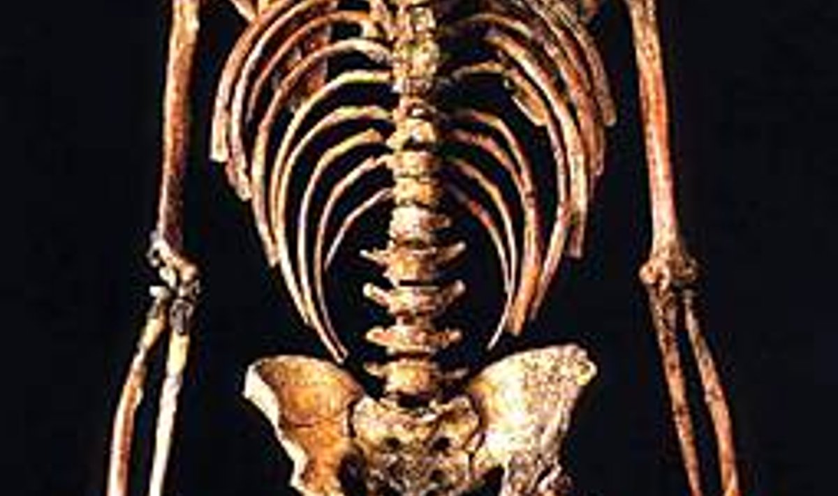 Kebara 2: Osa neandertallase skeletist mis leiti 1982.a Iisraelist. Vanuseks hinnati 60 000 aastat.