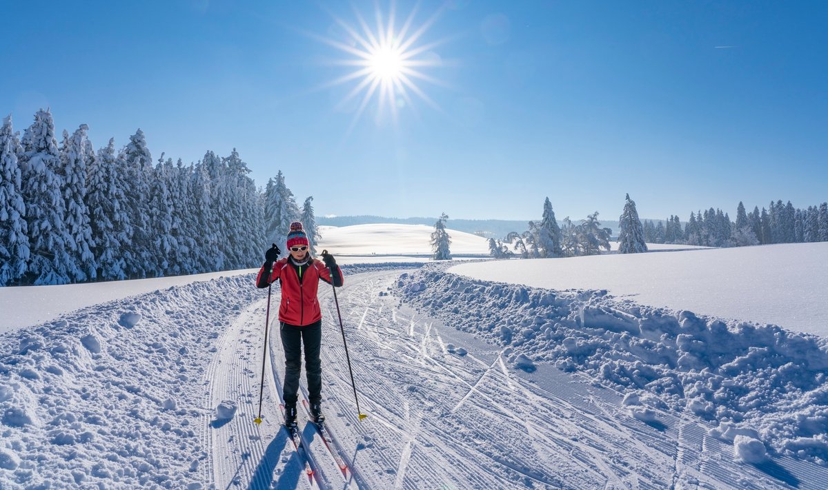 Nädalavahetus tõotab toredat suusailma. Lumeolud on hetkel parimad Lõuna-Eestis.