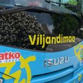 FOTOD | Viljandi saab endale omanäolised bussid, 1. juulist on bussisõit tasuta