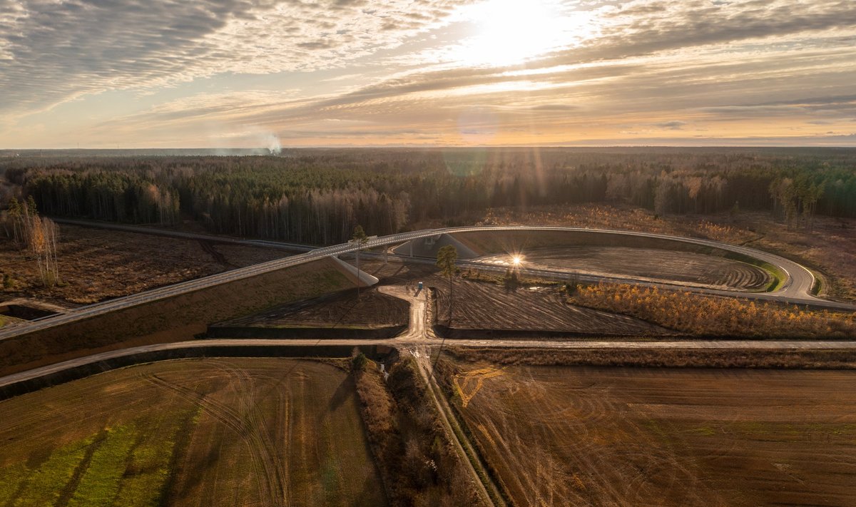 Rail Balticuga ristuva Tagadi tee viadukt on valmis. Lähiajal tuleb analoogseid objekte töösse üha enam.