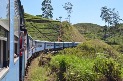 Maailma kõige ilusamaks rongisõiduks tituleeritud teekond, mil pöörakutel nägi loodusliku ilu taustal tervet pikka sinist vagunirodu.