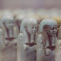 Легендарный археолог в Таллинне: проклятия мумий не существует