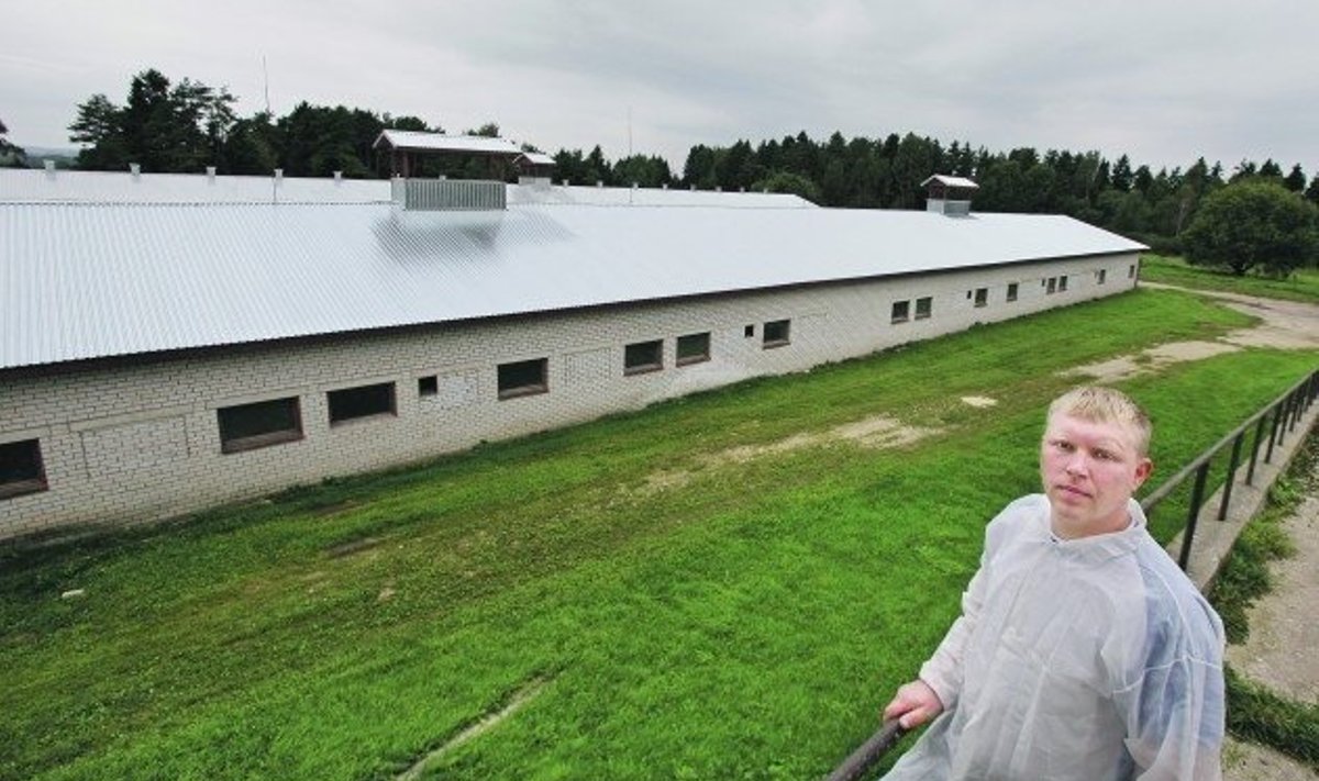 Tänavu said Otepää Oskari sigalad PRIA toetuse abil uued katused peale, tegevjuht Kristjan Saare sõnul oleks aga vaja hooned täielikult uuendada. Sigalatel on üldse laenuga raskem kui lehmalautadel.