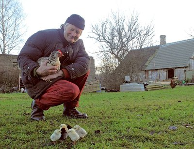 Peep Altmäe hoiab kaenlas vaprat kanaema, kes haudus mune tuisus ja vihmas.