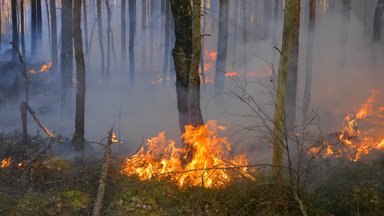 Teadlased: Maa atmosfääris oli viimati nii palju süsihappegaasi miljonite aastate eest