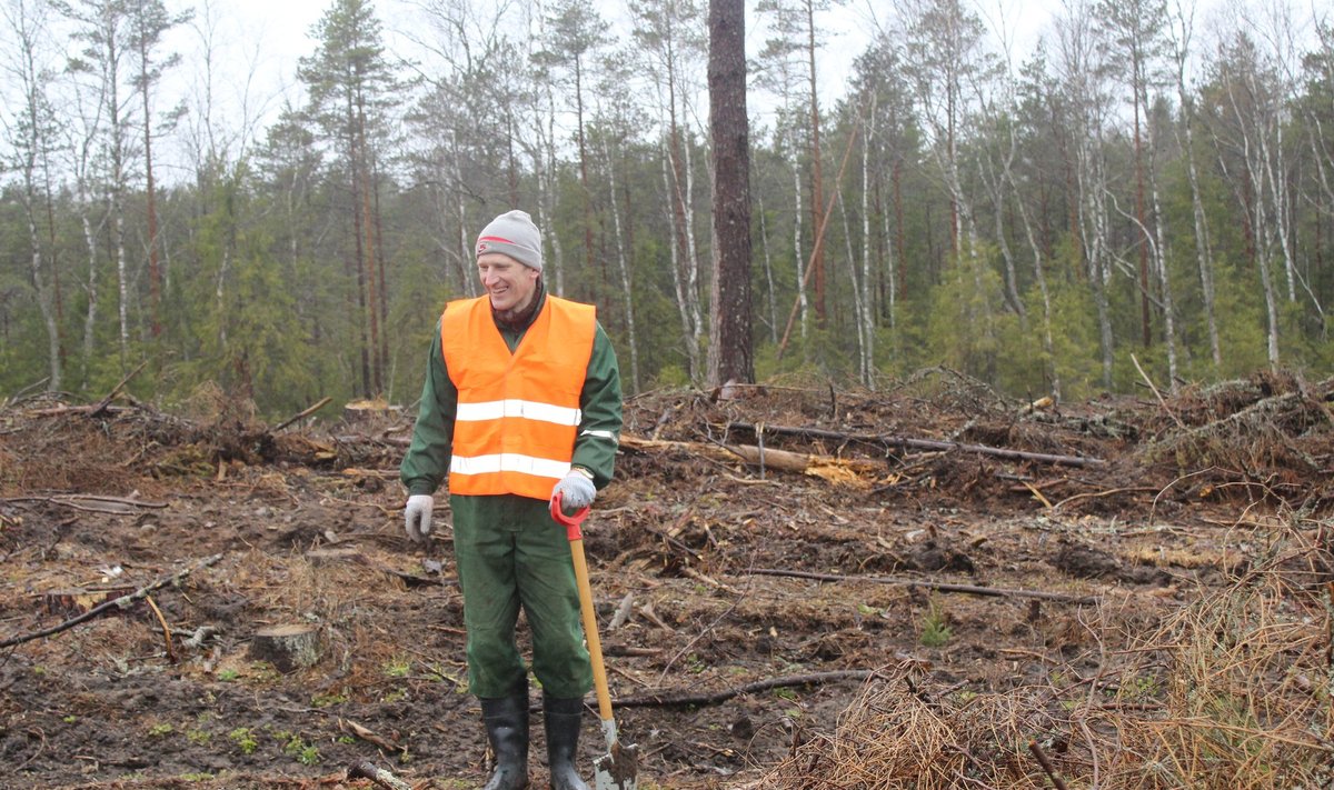 Võrumaa Metsaühistu juht Erki Sok ütleb, et metsaomanik peab ise tundma, kas tal on ühistusse kuulumisest abi.