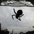 ФОТО и ВИДЕО | В США гигантский паук оккупировал дом. Он пугает детей, которые выпрашивают конфеты к Хэллоуину