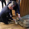 ФОТО: Президент Сербии Вучич подарил Путину щенка шарпланинской овчарки
