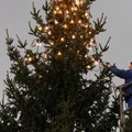 Jõulupuu jõudis Haabersti lipuplatsile