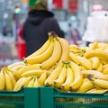 Banaanisõda. Venemaa läks Ecuadoriga tülli ja impordib banaane nüüd hoopis Indiast