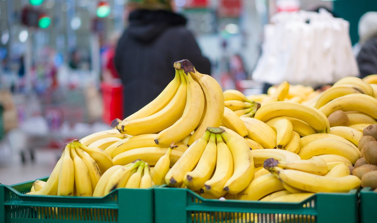 Varem importis Venemaa banaane Ecuadorist. Nüüd ulatas banaanisõjas riigile abikäe aga India.