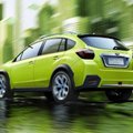 Subaru populaarsus on Eestis läbi aegade kõrgeim, suisa ohtlikult kõrge