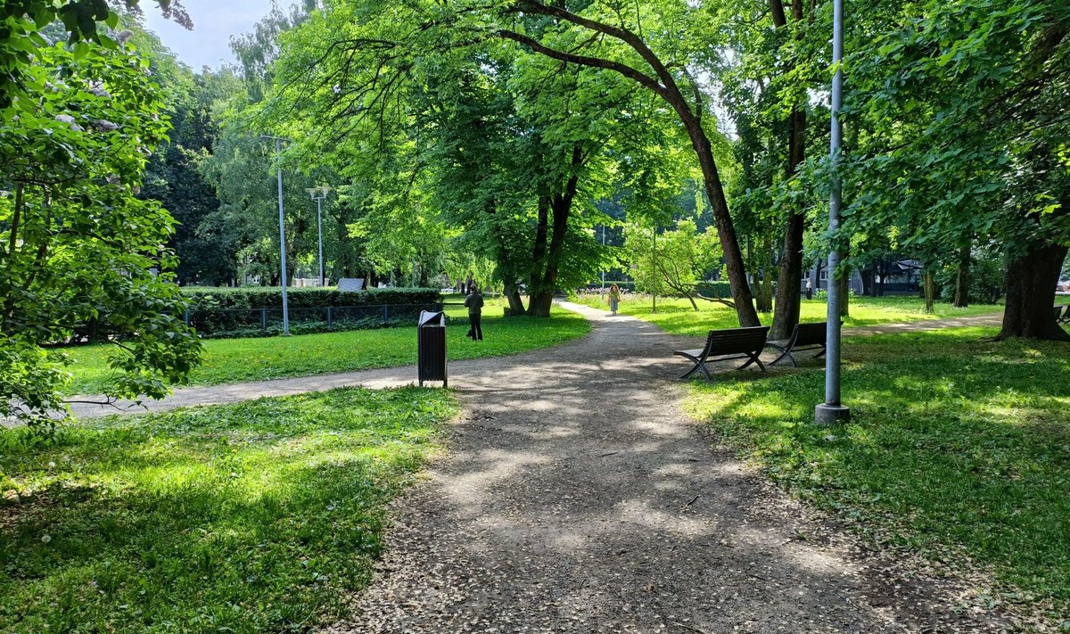 Парк Лембиту вдоль улицы Лаутери. 