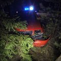 Elvas kihutas auto valesti valitud kiiruse tõttu metsa